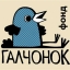 Благотворительный фонд "Галчонок"