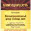 Благотворительный фонд помощи тяжелобольным детям “Потерь нет” 7