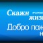 Межрегиональная общественная организация «Скажи жизни –ДА!» 0