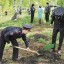 Благотворительный фонд «Подари Планете Жизнь» 6