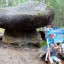 Благотворительный Фонд помощи семьям с детьми с диагнозом ДЦП «Ковчег» 0